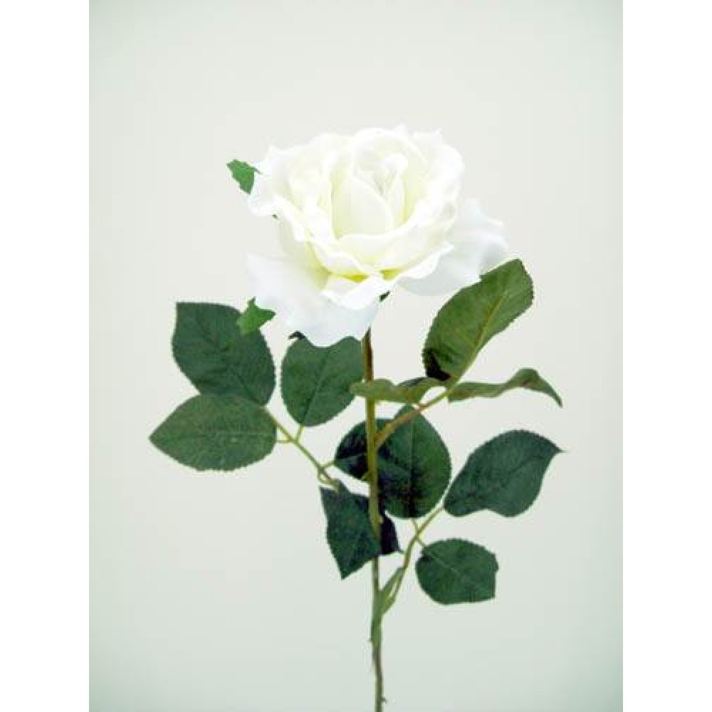 Premium Roses Ivory Cream 70cm Artificial Flowers